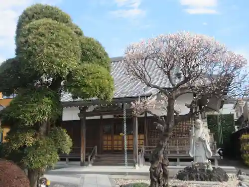 東樹院(神奈川県)