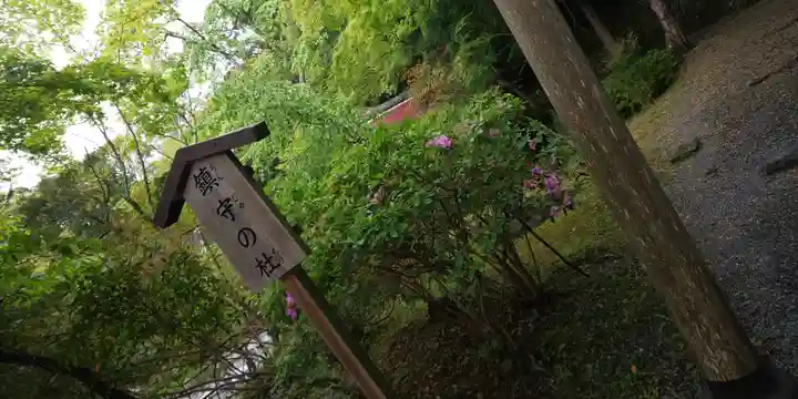 出雲大神宮(京都府)
