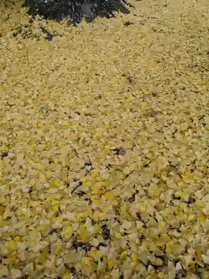 慈徳院(愛知県)