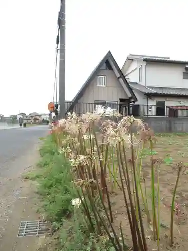 真光寺(千葉県)