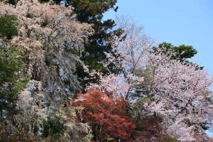 三春大神宮の景色