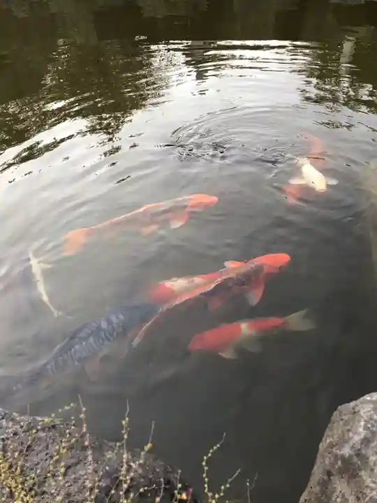 大生郷天満宮の庭園