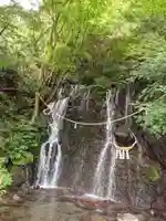 玉簾神社の自然