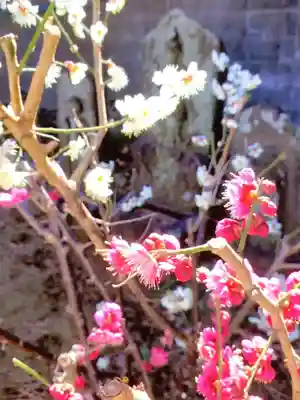 田端神社(東京都)