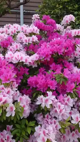 胡録神社(東京都)