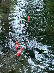 白鳥神社(長野県)