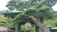 長谷寺のその他建物