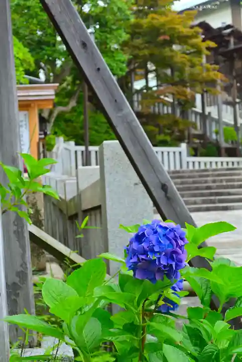伊勢山皇大神宮(神奈川県)