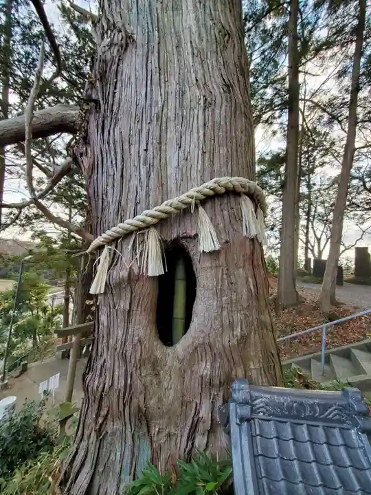 阿久津「田村神社」(郡山市阿久津町)旧社名:伊豆箱根三嶋三社のその他建物