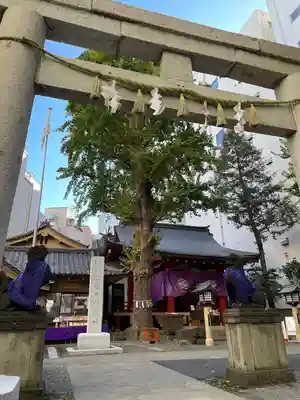 日本橋日枝神社(東京都)