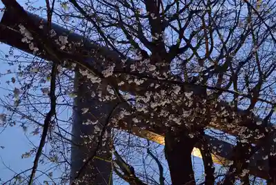 靖國神社(東京都)
