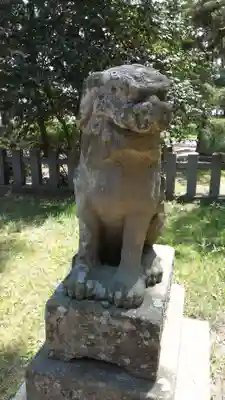 天橋立神社の狛犬