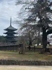 興福寺 南円堂の建物その他