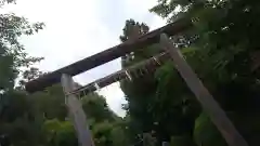 木嶋坐天照御魂神社の鳥居