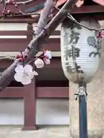 諏訪神社(東京都)