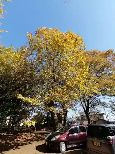 沓掛香取神社の自然