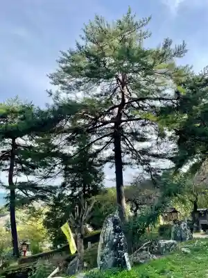 不動寺(埼玉県)