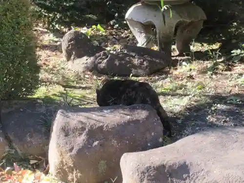 相模國分寺(神奈川県)