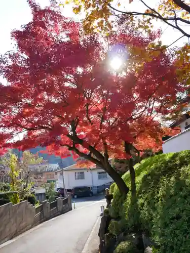 宝徳寺の景色