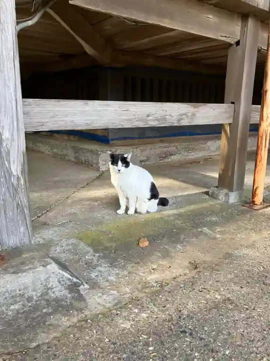鎌数伊勢大神宮(千葉県)