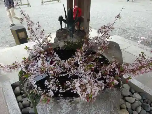 出雲大社相模分祠の手水舎