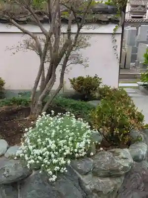 浄國寺(浄国寺)の自然