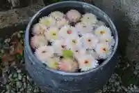 三春大神宮の手水舎