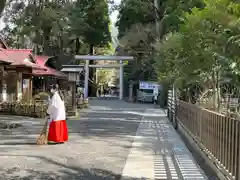 天岩戸神社の鳥居