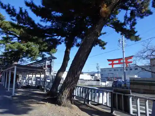 五社稲荷社の周辺