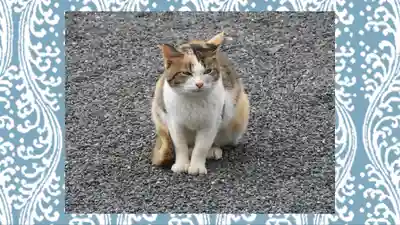 賀茂別雷神社(栃木県)