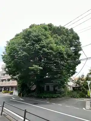 小野神社(東京都)
