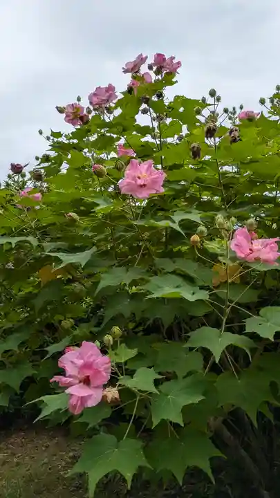 尊勝院(京都府)