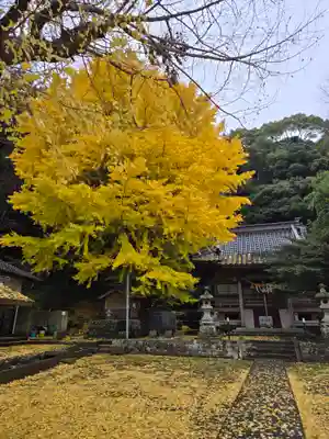 志理太乎宜神社(来宮神社)(静岡県)