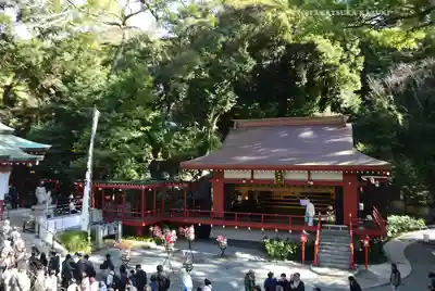 來宮神社(静岡県)
