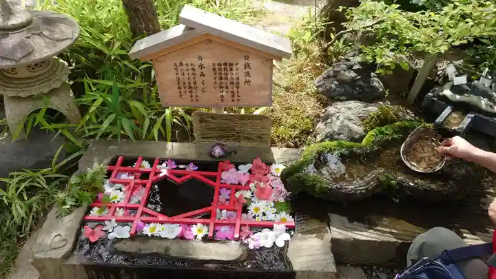 五泉八幡宮(新潟県)