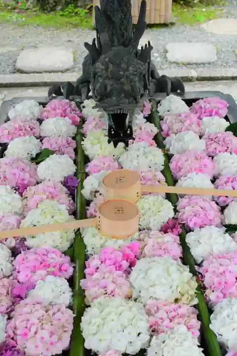 柳谷観音 楊谷寺の手水舎