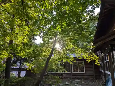 小樽稲荷神社(北海道)