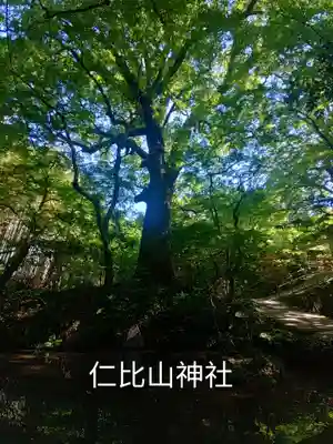 仁比山神社(佐賀県)