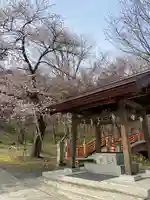 新得神社の手水舎