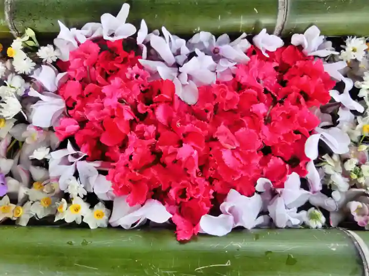 立志神社の手水舎