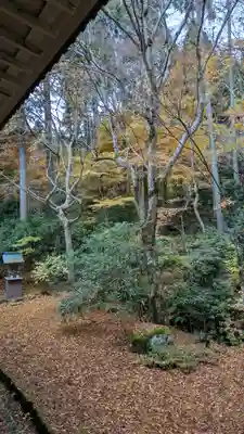 三千院門跡(京都府)
