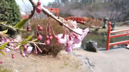 高山稲荷神社の景色