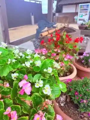 祇園神社(兵庫県)