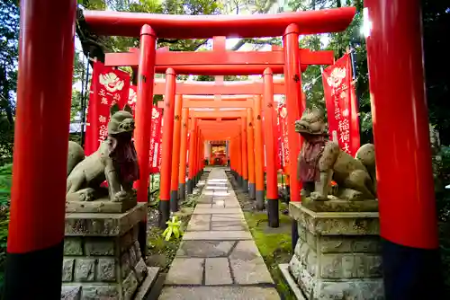 大杉神社の鳥居