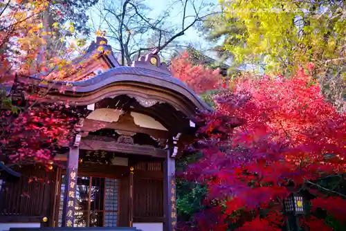 高幡不動尊　金剛寺の本殿