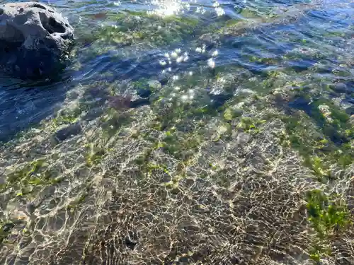 洲崎神社(千葉県)