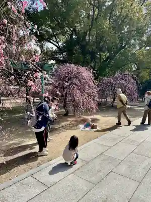 屯倉神社の{uncategorized: "未分類", other: "その他", undefined: "問題あり", building: "その他建物", grave: "お墓", sacred_gate: "鳥居", guardian: "狛犬", statue: "像", buddha: "仏像", history: "歴史", nature: "自然", garden: "庭園", animal: "動物", pagoda: "塔", temizu: "手水舎", mountain_gate: "山門・神門", sanctuary: "本殿・本堂", subordinate: "末社・摂社", art: "芸術", scenery: "景色", jizo: "地蔵", ema: "絵馬", goshuin: "御朱印", omikuji: "おみくじ", items: "授与品その他", amulet: "お守り", goshuincho: "御朱印帳", eats: "食事", festival: "お祭り", votive_dance: "神楽", shichigosan: "七五三参", wedding: "結婚式", experience: "体験その他", initially: "初詣", around: "周辺", anti_infection: "感染症対策"}