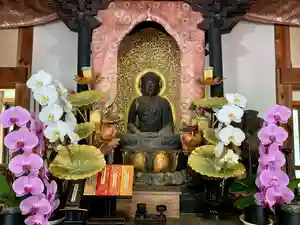 普門寺(切り絵御朱印発祥の寺)(愛知県)(2021年04月28日(水) 20時41分25秒投稿)