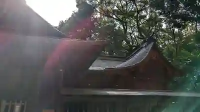 氷川女體神社(埼玉県)