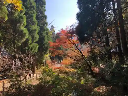 冠嶽神社の周辺